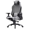 Ігрове крісло АКЛАС АЛЬТРОН R-MB OT-R240