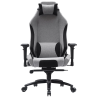 Ігрове крісло АКЛАС АЛЬТРОН R-MB OT-R240